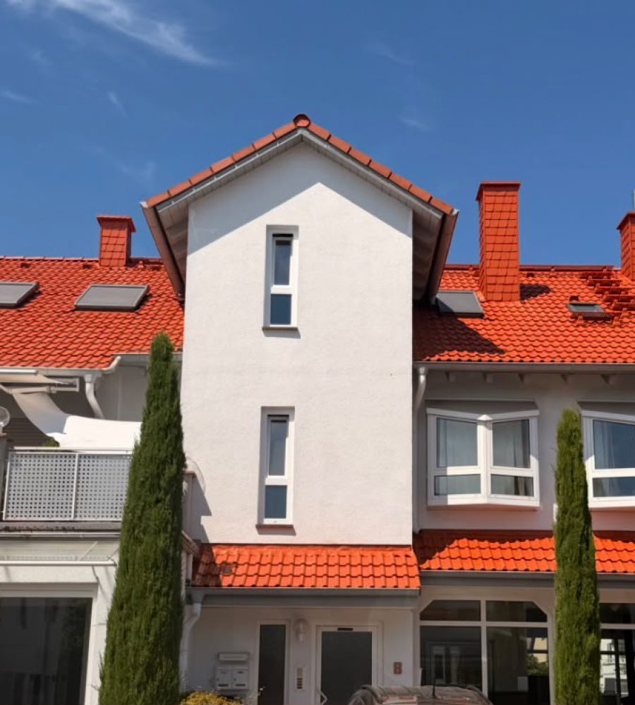 Dachreinigung in Heusenstamm